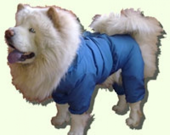 Догифешън ООД - град София | Облекло - конфекция - снимка 6