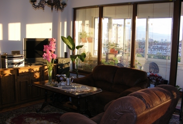 Доминатор Корект ЕООД - city of Plovdiv | Services - снимка 1