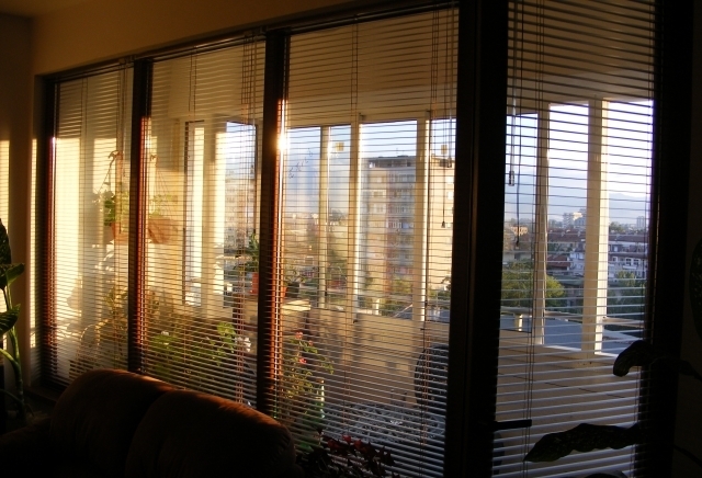 Доминатор Корект ЕООД - city of Plovdiv | Services - снимка 3