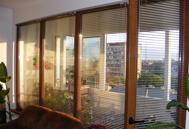 Доминатор Корект ЕООД - city of Plovdiv | Services - снимка 6