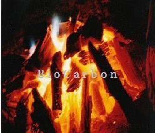 БиоКарбон ЕООД - град София | Горива - снимка 1