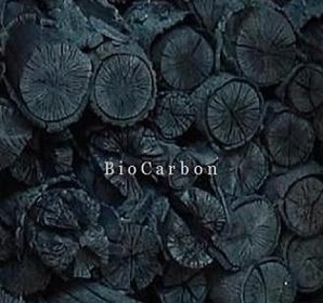 БиоКарбон ЕООД - град София | Горива - снимка 2