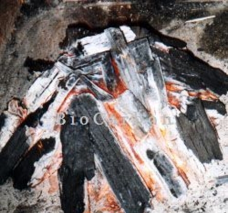 БиоКарбон ЕООД - град София | Горива - снимка 6