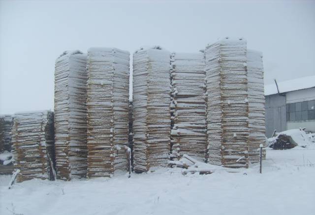 ЕТ"Йордан Камджилов-БАДЕН-1", град Сапарева баня | Лозарство, винарство и винарни - снимка 3