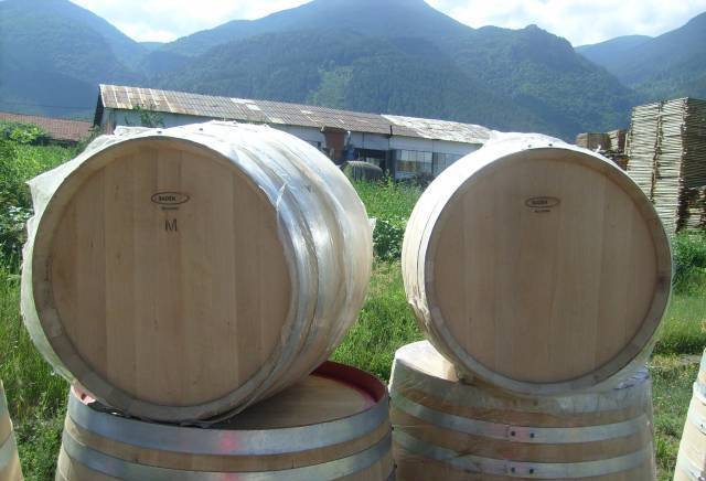 ЕТ"Йордан Камджилов-БАДЕН-1", град Сапарева баня | Лозарство, винарство и винарни - снимка 5