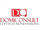 Domiconsult Ltd.