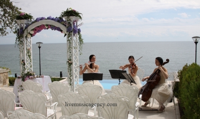 Mузикална агенция LIVE MUSIC - LIVE MUSIC AGENCY - град София | Услуги - снимка 5