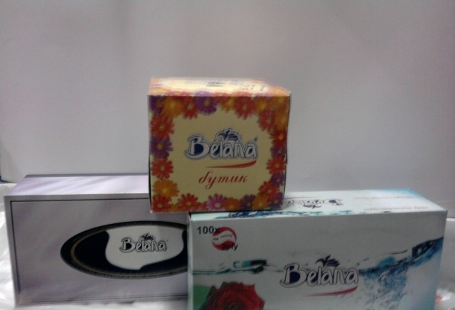 ETФори Стар - city of Bеlovo | Services - снимка 5