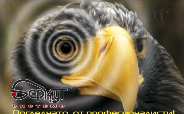 Беркут Системс ЕООД  - град Плевен | Електронни системи и компоненти - снимка 1