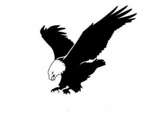 Беркут Системс ЕООД  - град Плевен | Електронни системи и компоненти - снимка 2