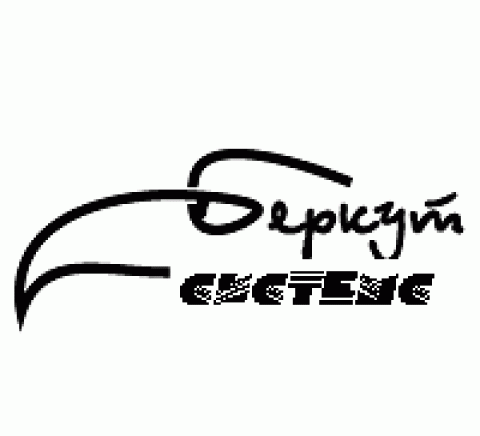 Беркут Системс ЕООД  - град Плевен | Електронни системи и компоненти - снимка 3