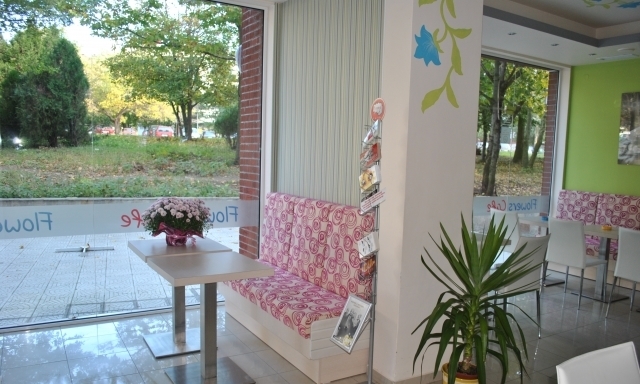 Maxima Service Grоup LTD - град Бургас | Кафенета - снимка 3