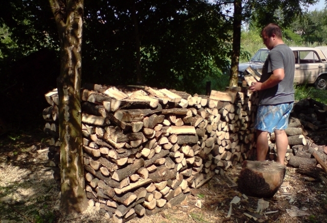 Плади-Бурими ООД - град Плевен | Дърводобив и дървообработване - снимка 2