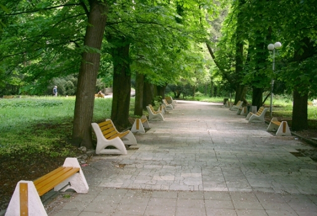 Дар Божи 86 ЕООД - град Банкя | Други институции и услуги - снимка 2