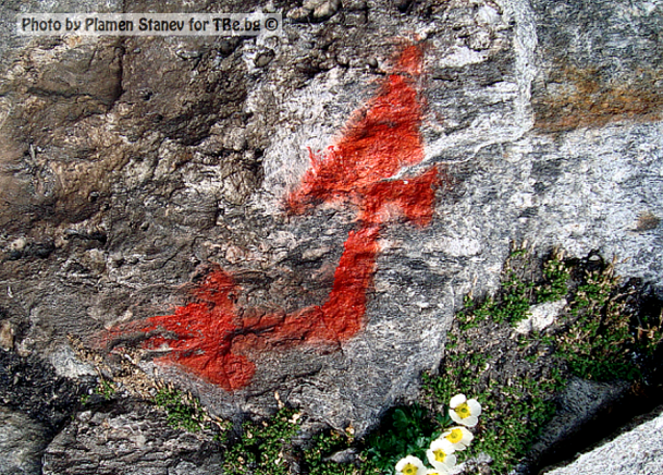 Травел Консулт ЕООД - град София | Услуги - снимка 2