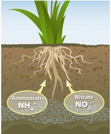 Ет "маргарита Георгиева - Маргарита, град София | Растителна защита и препарати - снимка 6