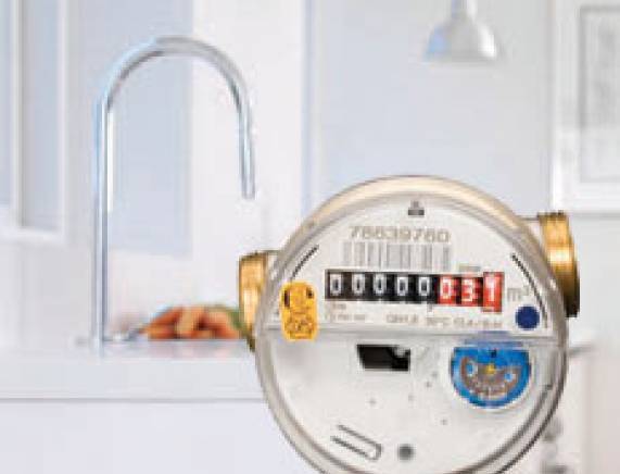 АС Бояна АД - град София | Услуги - снимка 2