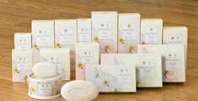 Лекса - град София | Дейности - снимка 1