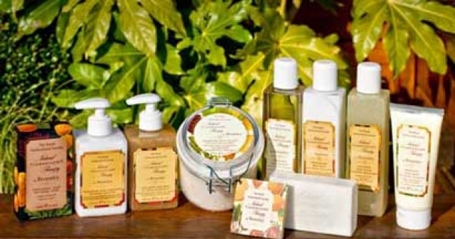 Лекса - град София | Дейности - снимка 3