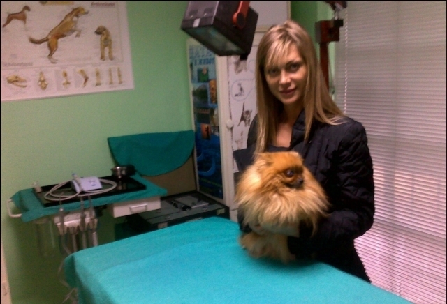 Ветеринарна клиника ВЕТ-ДЕНТ, град Стара Загора | Ветеринарна медицина и лечебници - снимка 1