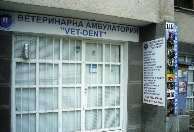 Ветеринарна клиника ВЕТ-ДЕНТ, city of Stara Zagora | Veterinary Medicine and Clinics - снимка 3