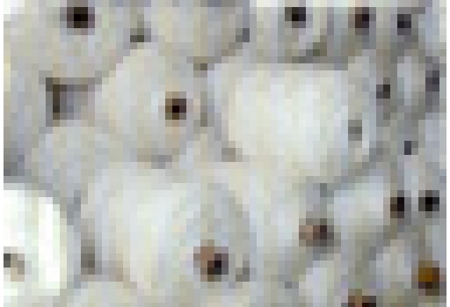 Колхида-Сливен АД - град Благоевград | Платове и текстилни услуги - снимка 2