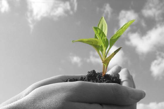 Куул Сървисиз ЕООД - city of Sofia | Cleaning and Maintenance - снимка 6