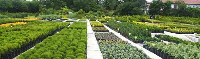 Томикал Агро - град Павликени | Растителна защита и препарати