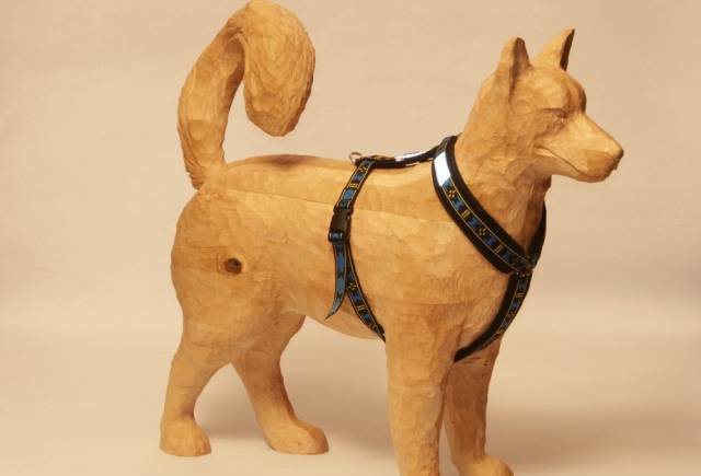 Manmat Bg Eood - град София | Зоомагазини - снимка 6