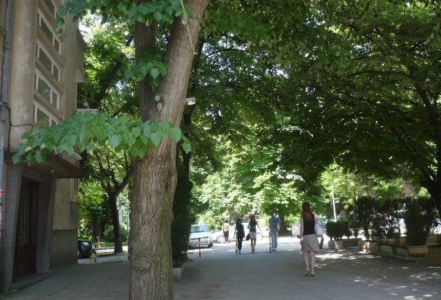 Сдружение "поглед Към Вековете, град Велико Търново | Асоциации, сдружения и фондации - снимка 6