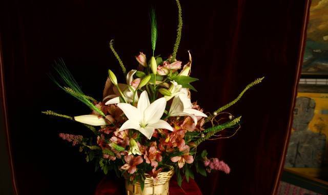 Максима Верде ЕООД - град София | Онлайн магазини - снимка 1