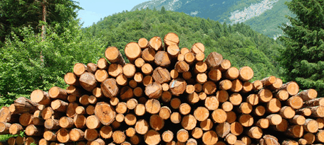 Ки-Бо ЕООД - град Разлог | Дърводобив и дървообработване - снимка 3