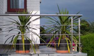 Алмар БГ ЕООД - city of Sofia | Other Activities and Products - снимка 3