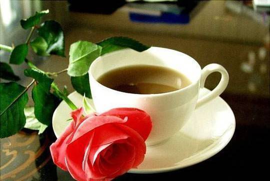 ET"БИЗНЕСКОНСУЛТ2007-Мария Хаджийска, city of Pazardzhik | Brokers and Financial Consultants