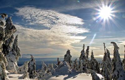 Марая Тур Ад - град София | Туристически агенции и туроператори - снимка 4