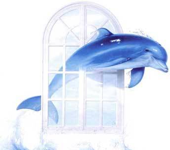 Димпекс 1 ЕООД - град Бургас | Услуги