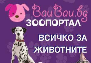 Инсърт.бг - city of Sofia | Auto, Moto & Bikes - снимка 1