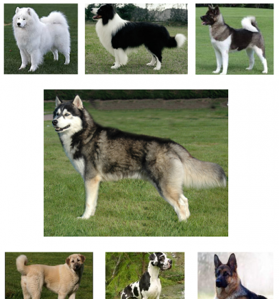 Инсърт.бг - city of Sofia | Auto, Moto & Bikes - снимка 3