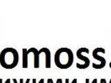 Domoss