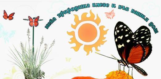 Смайлшоп - град Варна | Онлайн магазини - снимка 5