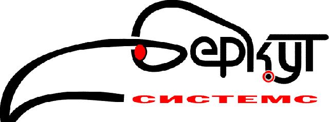 Беркут Системс ЕООД - град Плевен | Елекроинсталации и трансформатори - снимка 1