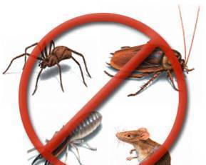 ДДД-Инсект-2012 - град Пазарджик | Обезпаразитяване и дезинфекция - снимка 1