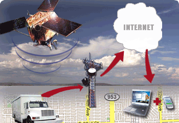 ТиБиЕс Профешънъл Торнадо - Бранимир Коларов - град Сливен | Дейности - снимка 3