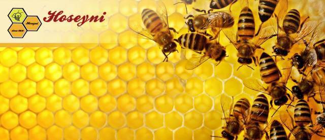 Hoseyni.com - град Пловдив | Онлайн магазини - снимка 1