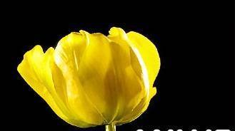 Велинда Трейдинг" ООД - град Варна | Други машини и съоръжения - снимка 1