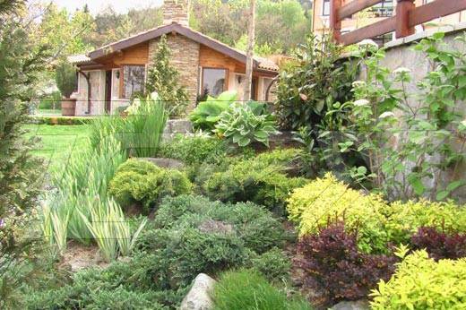 Тотех ЕООД - град София | Семена и разсадници - снимка 1