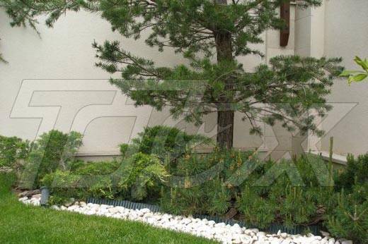 Тотех ЕООД - град София | Семена и разсадници - снимка 2