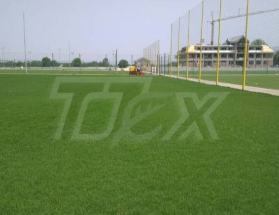 Тотех ЕООД - град София | Семена и разсадници - снимка 7