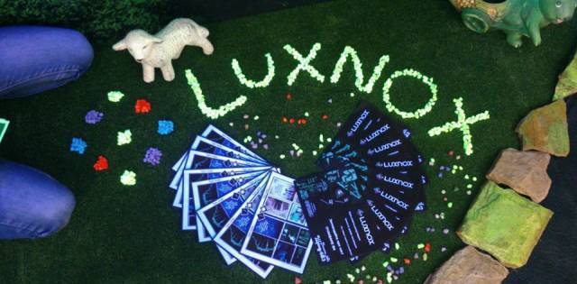 Лукс Нокс - град София | Услуги - снимка 4