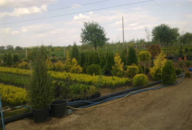 Шаки ЕООД - град Велико Търново | Авто-мото и велосипеди - снимка 6